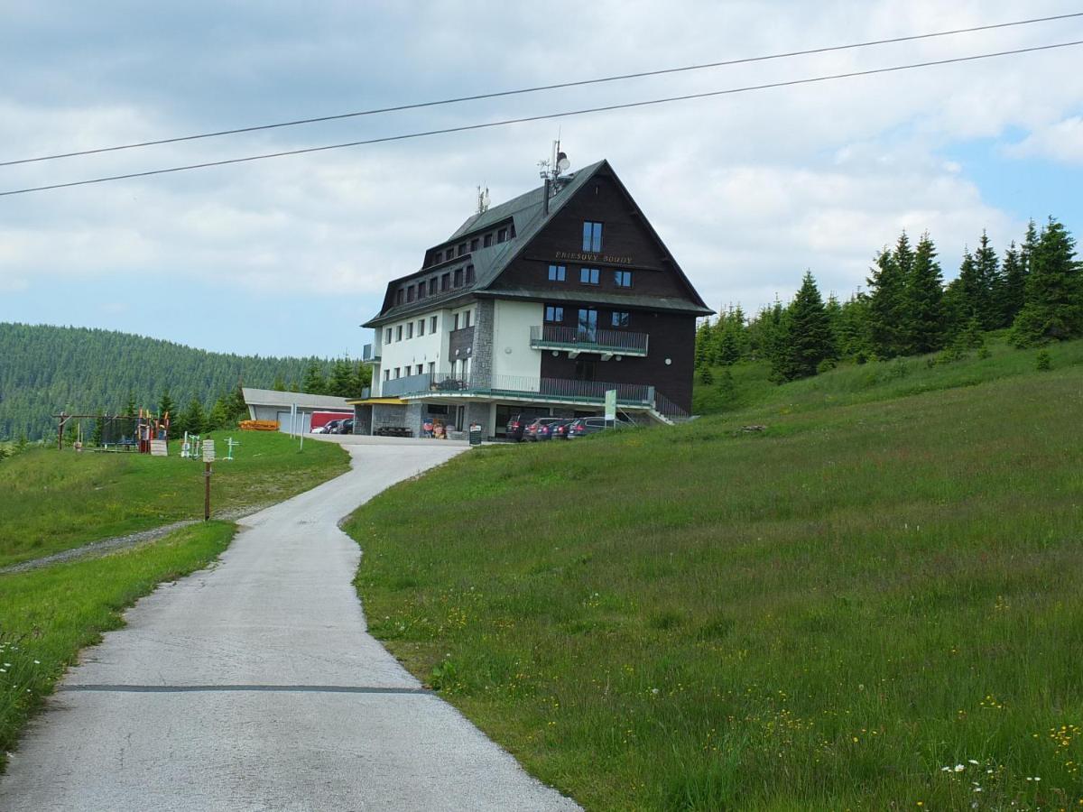 Horsky Hotel Friesovy Boudy Strážné Esterno foto